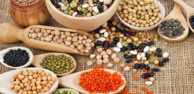 Kuru gıda satın alınacak (18.02.2023)