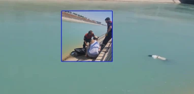 Urfa’da sulama kanalında kadın cesedi bulundu