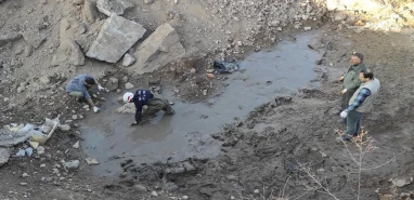 Şanlıurfa'dan güzel bir haber: Kurtarılan 530 can yeniden hayatlarına döndü
