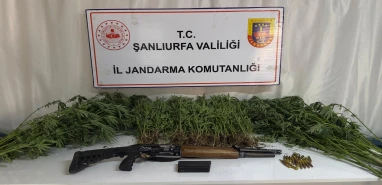 Şanlıurfa’da jandarma düğmeye bastı! 3 ilçede operasyon yapıldı