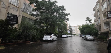 Şanlıurfa’da sağanak yağış etkili oldu! Ağaç ve direkler devrildi