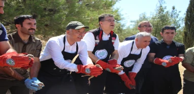 Şanlıurfa'da onlarca kınalı keklik doğaya bırakıldı