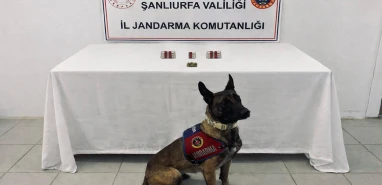 Şanlıurfa jandarmasından narkotik pençesi! Şüphelilere adli işlem
