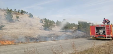 Şanlıurfa'da ağaçlık alanda yangın... Ekiplerden müdahale