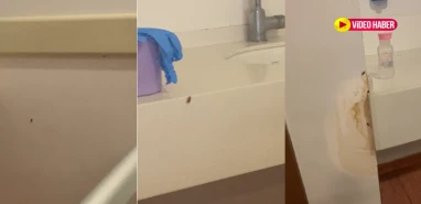 Şanlıurfa'daki hastanede hijyen skandalı! Aileler endişeli