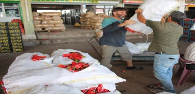 Şanlıurfa’da isot fiyatları çakıldı: Duyan oraya koştu...