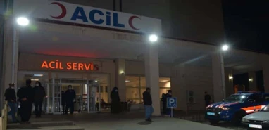 Şanlıurfa’da otomobil şarampole yuvarlandı: Yaralılar var