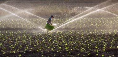 Çiftçilerden zam iddilarına tepki! “Üretim yapmamız söz konusu olmaz”
