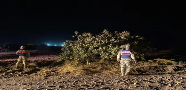 Şanlıurfa’da yeşil altın hırsızları suçüstü yakalandı