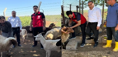 Şanlıurfa’da ekipler aşılama için sahada!