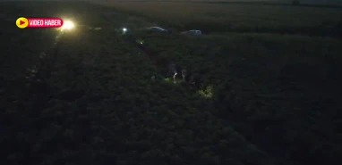 Şanlıurfa’da gece yarısı tarlada operasyon! Yüklü miktarda ele geçirildi