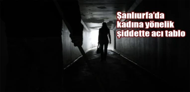 Şanlıurfa’da kadına şiddetin acı tablosu: 2 yılda 12 ölüm…
