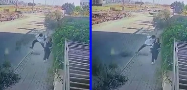 Urfalı gencin öfkesi  Ağaçtan ne istedin?
