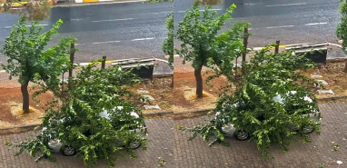 Şanlıurfa’da ilginç olay! Elektrik yüzünden yanan buzdolabından yakınırken arabası da gitti