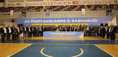 Temayül yoklaması: Milletvekilleri memleketlerinde görevlendirilmedi
