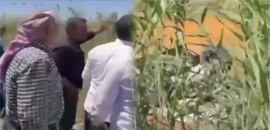 Şanlıurfa’da otomobil sulama kanalına devrildi! Yaralılar var