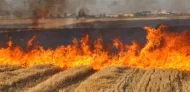 Şanlıurfa Emniyeti vatandaşları uyardı! “Geleceğini karartma”
