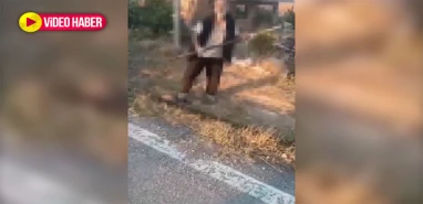 Kan donduran vahşet! Yavru köpeği bakın nasıl öldürdü