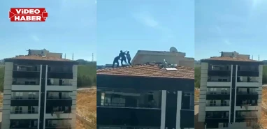 Şanlıurfa'nın komşusunda yürekleri ağza getiren kavga: Çatıda birbirlerini ittiler