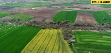 BİRECİK KAYMAKAMLIĞI