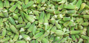 Şanlıurfa’da sonbahar bereketi! Bamya sezonu bitmiyor