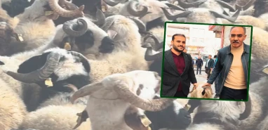 Şanlıurfa’da yetim ve ihtiyaç sahiplerine kurban müjdesi!