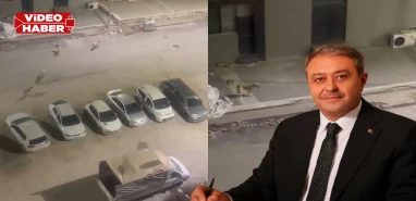 Vatandaşın çağrısına Vali Şıldak’tan anında yanıt! "Hemen ilgileniyorum"