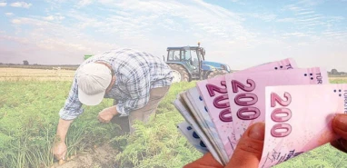 Şanlıurfalı çiftçilere müjde: 350 milyon TL hesaplarda