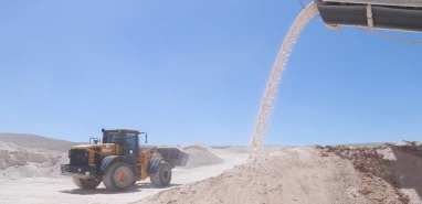 Haliliye’de üretim hamlesi meyvelerini verdi