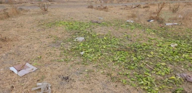 Ticaret Bakanlığı'ndan biber görüntülerine açıklama: 'Görüntüler eski, adli süreç başlatıldı'