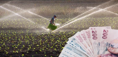 Şanlıurfa’nın ilçesinde sulama ücretleri belli oldu! Pamukta 10 dönüm 36 bin liraya yaklaştı