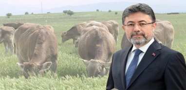 Bakan Yumaklı açıkladı! Hayvancılıkta yeni dönem başladı