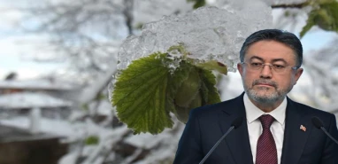 Çiftçilerin gözü kulağı bu açıklamadaydı! Bakan Yumaklı'dan zirai don açıklaması