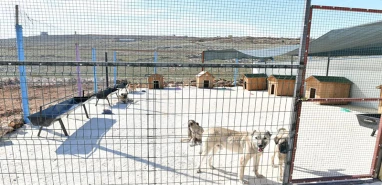 Şanlıurfa'da bir belediye daha bakımevi kurdu!