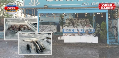 Av sezonu bereketli başladı! Şanlıurfa'da fiyatlar düştü, talep arttı