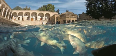 Şanlıurfa’da bayramda hava nasıl olacak? Meteoroloji gün gün paylaştı!