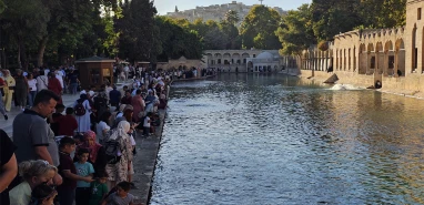 Şanlıurfa’da sonbahar bereketi!