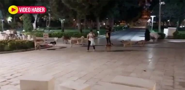 Şanlıurfa'da tek video yetti: Sosyal medya ayaklandı