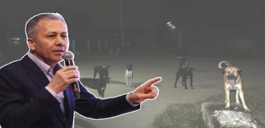 Bakan Yerlikaya'dan valiliklere talimat! “Ya toplanacak ya da yasayı uygulayacağız”