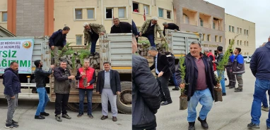 Orman Bölge Müdürlüğü açıkladı! Her eve bir fidan…