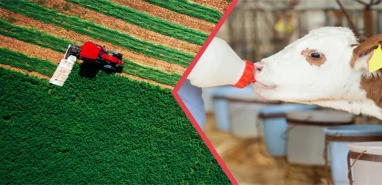 Hesaplarınızı kontrol edin!  Şanlıurfalı çiftçileri sevindirecek haber
