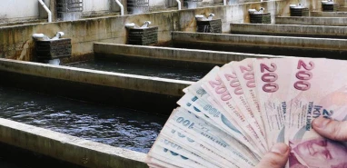 Hesaplarınızı kontrol edin! Ödemeler yatmaya başladı...