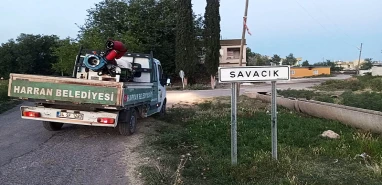 Harran'da ilaçlama çalışması son hızla devam ediyor