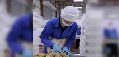 Türk gıda devi iflasın eşiğinde!