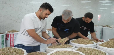 Türkiye'nin yeşil altını zor günler yaşıyor! Hasat bitti: İthalat izni satışları vurdu!