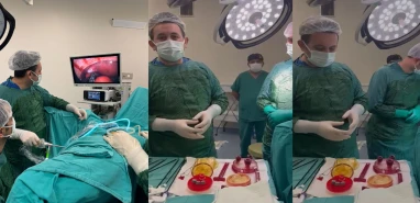 Şanlıurfa'da izsiz ameliyat dönemi başladı