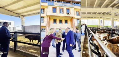 Başkan Gülpınar: Üreticilerimizin yanında olmaya devam ediyoruz