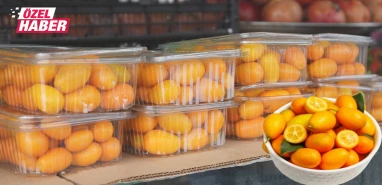 Çinlilerin vazgeçilmezi Şanlıurfa’da: Yılın sadece birkaç ayı yetişiyor! Tam bir şifa deposu