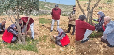 Şanlıurfa’da fıstık ve zeytin bahçelerinde kritik inceleme!