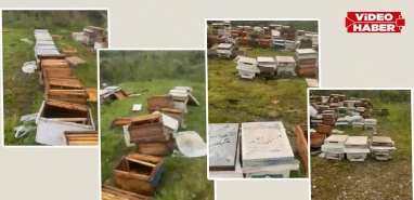 Şanlıurfa'daki afete sessiz kalmadı: TAB Başkanı Ali Demir'den destek sözü!